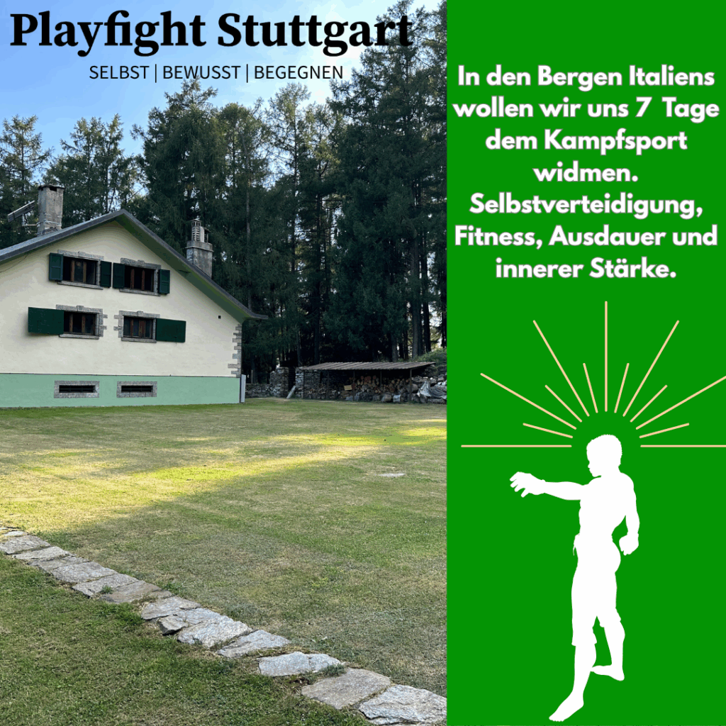 Playfight Fightcamp, Kampfsport, Selbstverteidigung