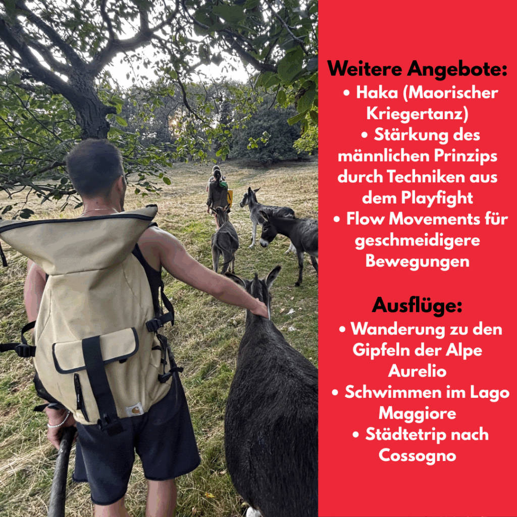 Playfight Fightcamp, Kampfsport, Selbstverteidigung